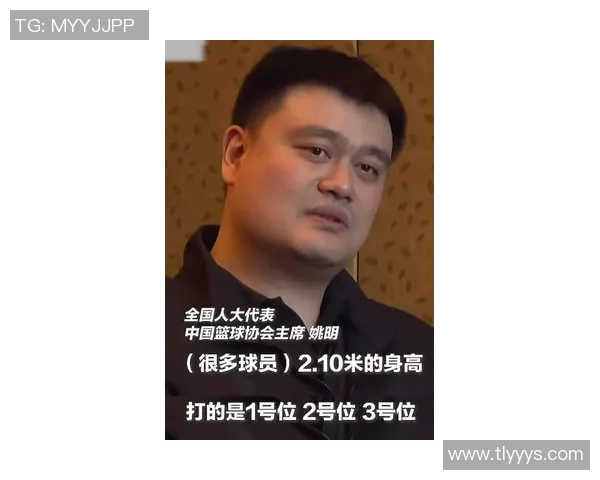 姚明出手数揭秘：如何影响比赛胜负与个人职业生涯的关键数据分析